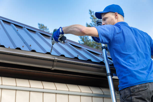 Gutter Replacement in De Soto, IA