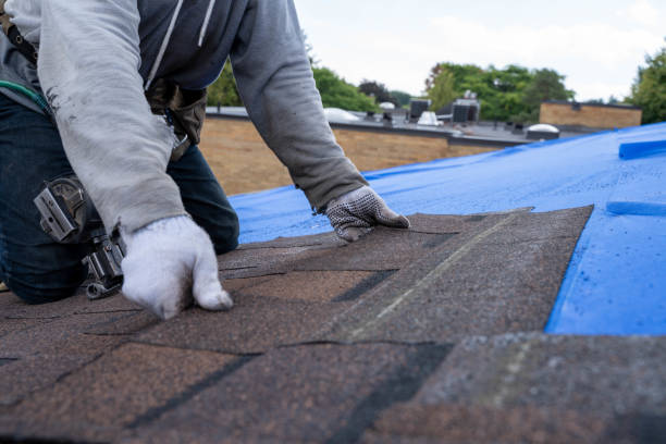 Best Gutter Installation and Repair  in De Soto, IA