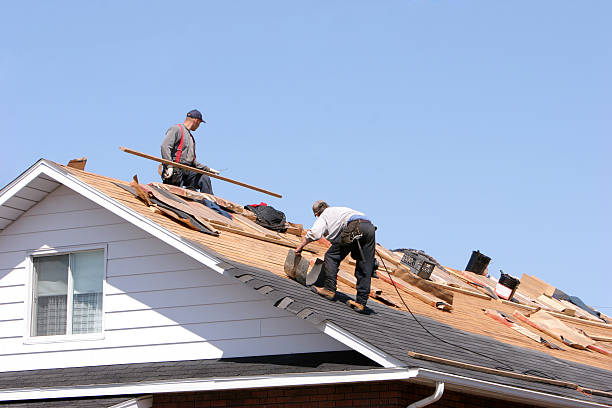 Best Cold Roofs  in De Soto, IA
